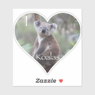 I Heart Koalas