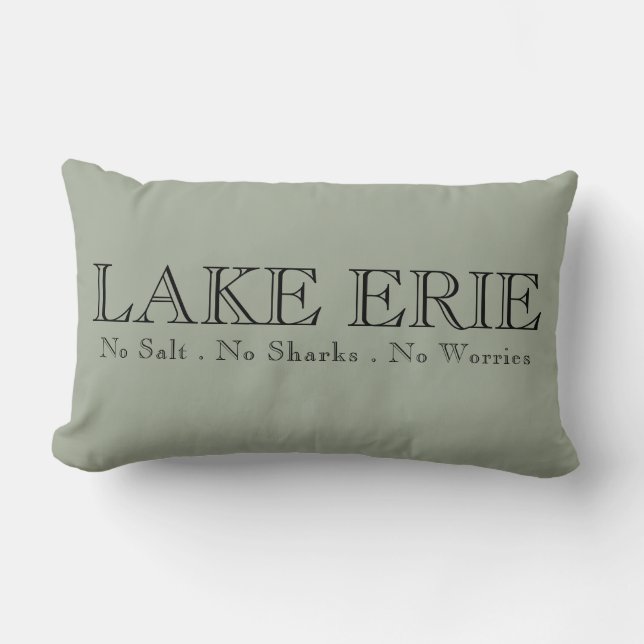 I heart Lake Erie Lumbar Cushion (Front)