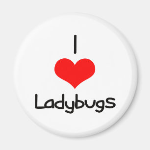 I Heart (Love) Ladybugs Magnet