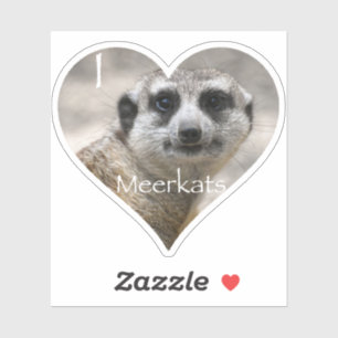 I Heart Meerkats