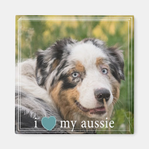 I Heart My Aussie Australian Shepherd White Border Magnet