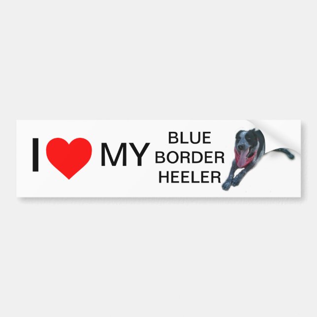 I heart My Blue Border Heeler Bumper Sticker (Front)