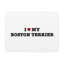 I Heart My Boston Terrier Flexible Magnet