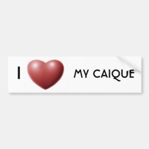 I heart my caique bumper sticker