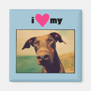 I Heart My Natural Doberman Dog Magnet