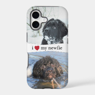 I Heart My Newfie Newfoundland