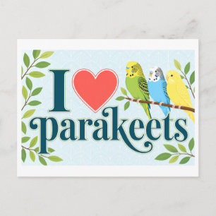 "I [Heart] Parakeets" Postcard
