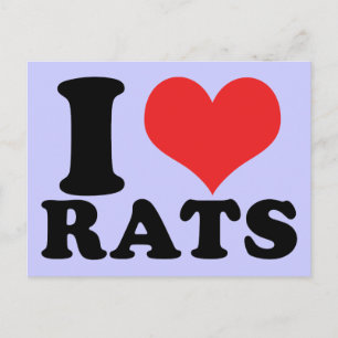 I Heart Rats Basic Postcard