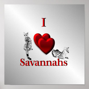 I Heart Savannah Cat Silver Poster