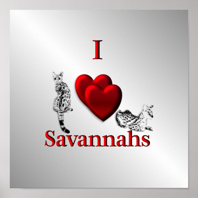 I Heart Savannah Cat Silver Poster (Front)