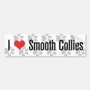 I (heart) Smooth Collies Bumper Sticker