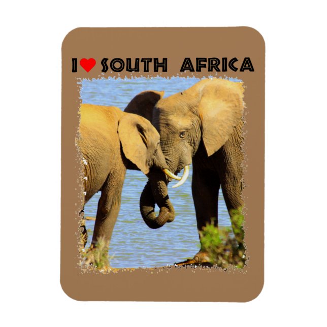 I Heart South Africa elephants in love Magnet (Vertical)