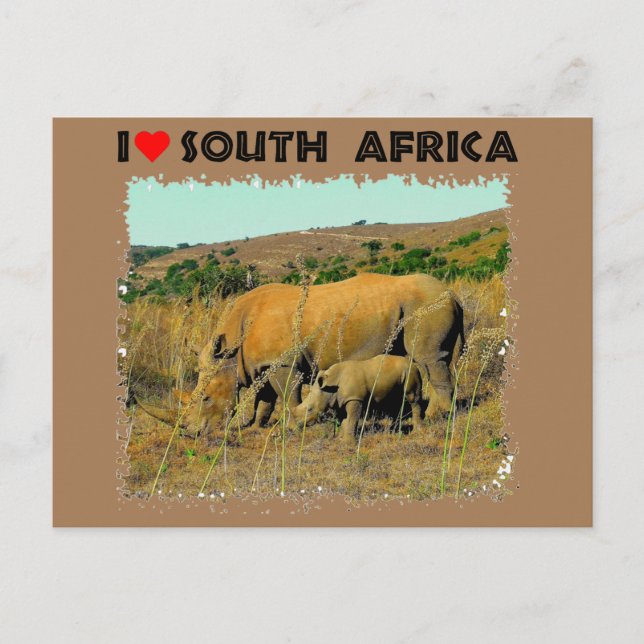 I Heart South Africa Rhino amongst the reeds Postcard (Front)