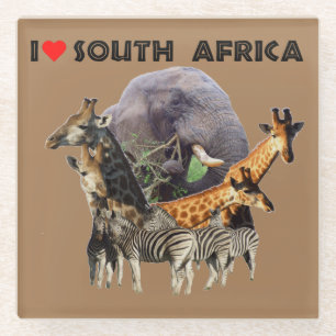 I Heart South Africa Wildlife Collage Glass Coaster