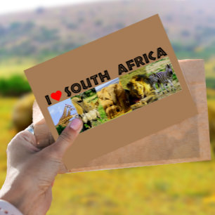 I Heart South Africa Wildlife Photos Postcard