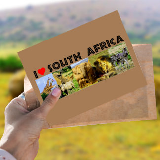 I Heart South Africa Wildlife Photos Postcard