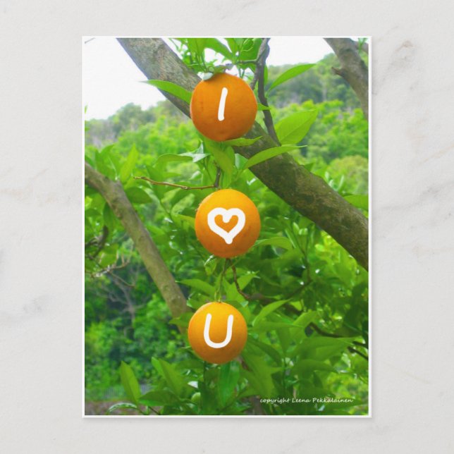 I Heart U Oranges Postcard (Front)