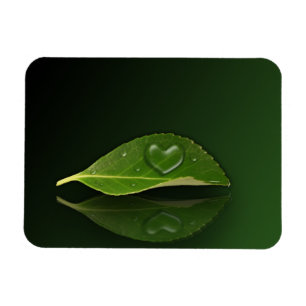 I heart Water Drops - Flexible Magnet