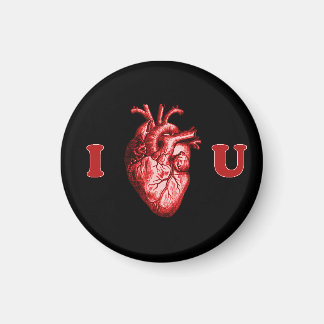 I Heart You Anatomical Heart - Black & Red Magnet