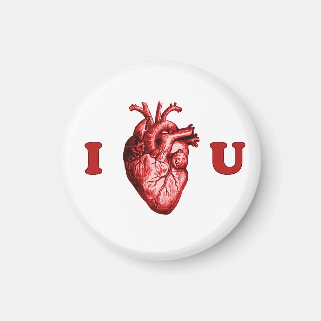 I Heart You Anatomical Heart - White & Red Magnet (Front)