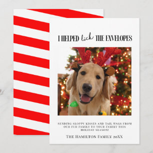 I Helped Lick the Envelopes Dog Photo Christmas Invitation