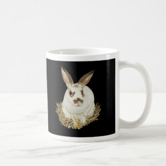I HELPED SAVE CLEMENTINE! COFFEE MUG