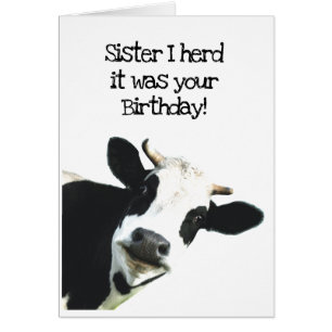 I Herd it Was Your Birthday Sister Holstein Cow