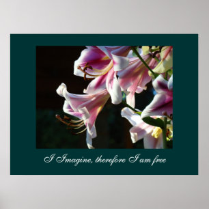 I Imagine therefore I am free art prints gift Lily
