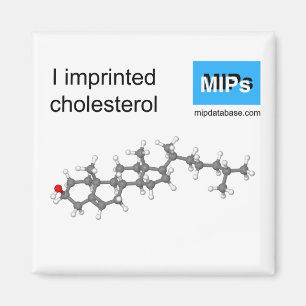 I imprinted cholesterol magnet ball and stick