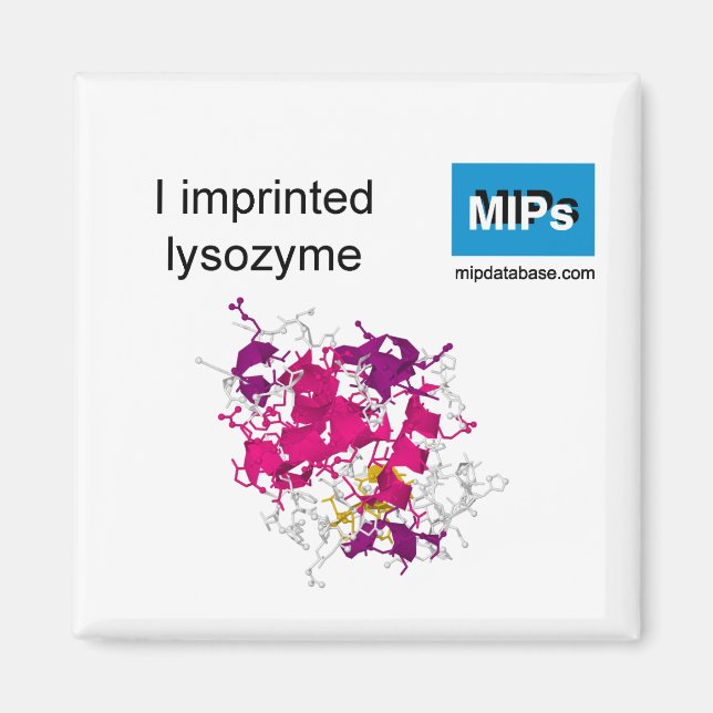 I imprinted lysozyme magnet (Front)