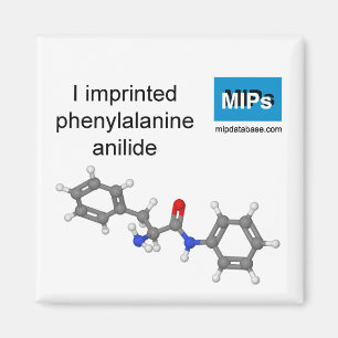 I imprinted phenylalanine anilide magnet