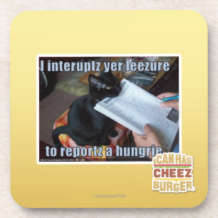 I interupt yer Leezure Coaster