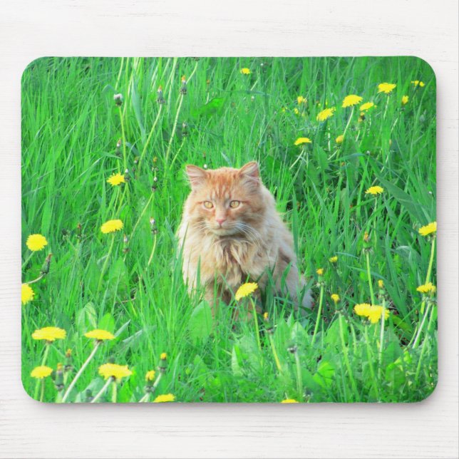 I is a dandy lion mouse pad (Front)