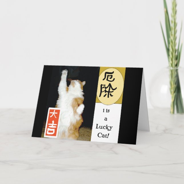 i is a Lucky Cat, Thank You Card (Front)