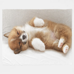 I IS POOPED FLEECE BLANKET