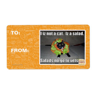I iz not a cat. Iz a salad.