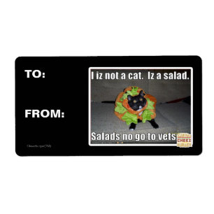 I iz not a cat. Iz a salad.