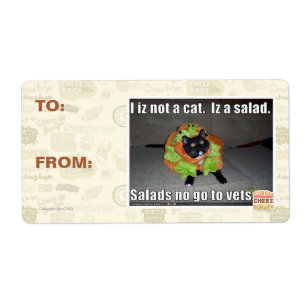 I iz not a cat. Iz a salad.
