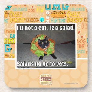 I iz not a cat. Iz a salad. Coaster