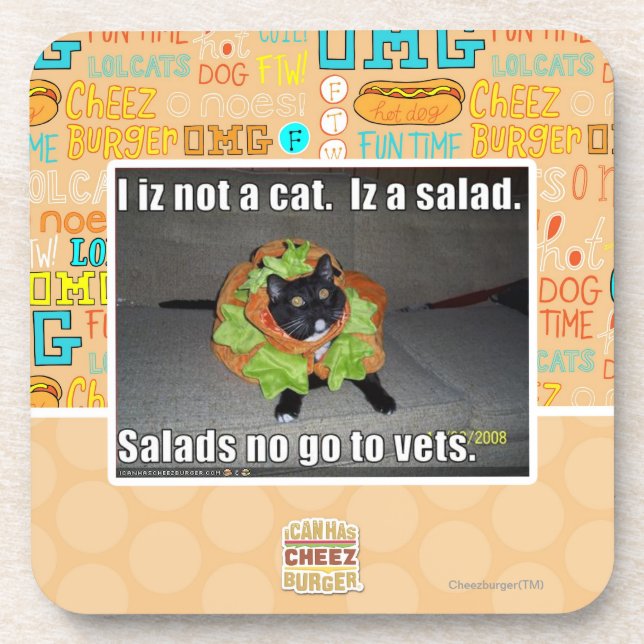 I iz not a cat. Iz a salad. Coaster (Front)
