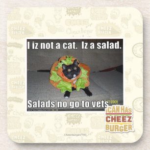 I iz not a cat. Iz a salad. Coaster