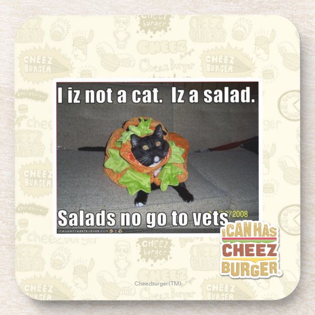 I iz not a cat. Iz a salad. Coaster (Front)