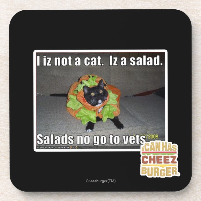 I iz not a cat. Iz a salad. Coaster (Front)