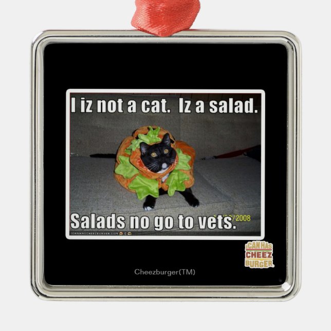 I iz not a cat. Iz a salad. Metal Ornament (Front)