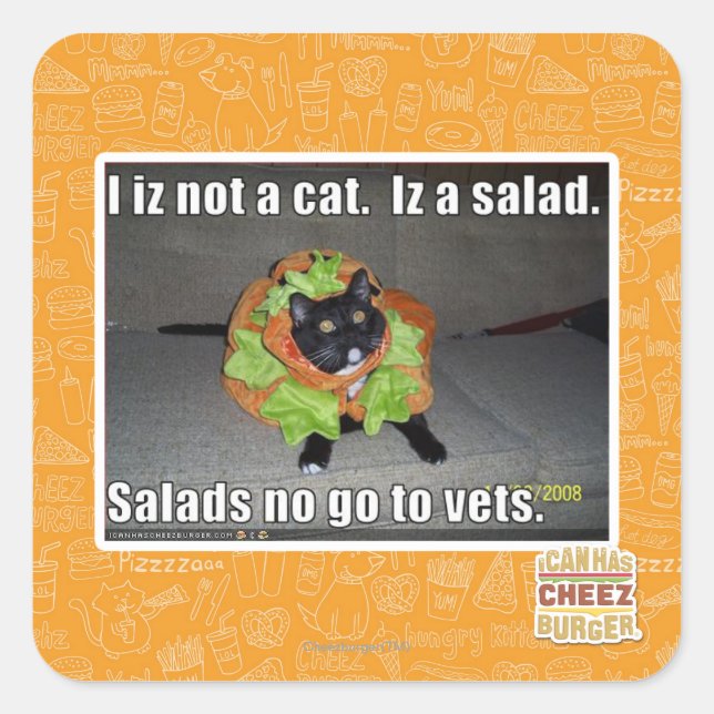 I iz not a cat. Iz a salad. Square Sticker (Front)