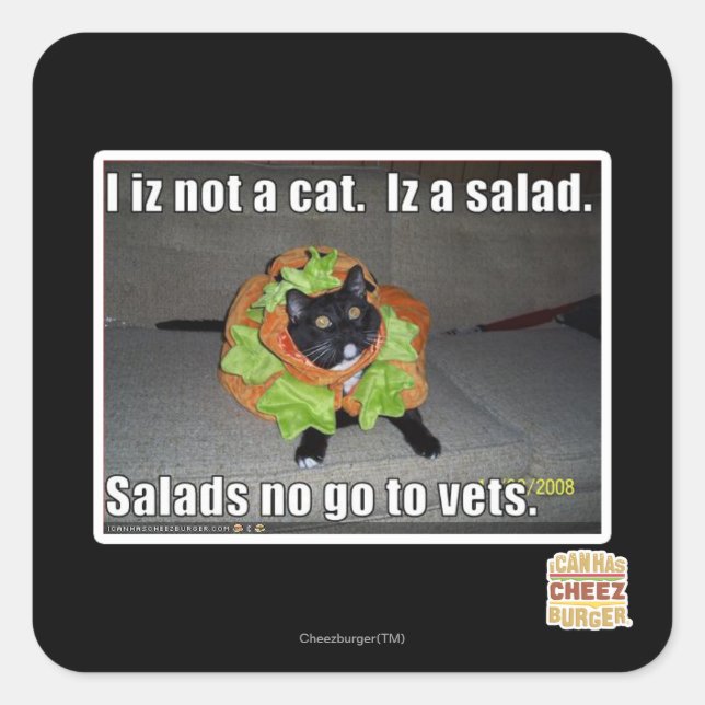 I iz not a cat. Iz a salad. Square Sticker (Front)