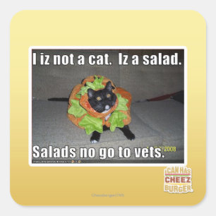 I iz not a cat. Iz a salad. Square Sticker