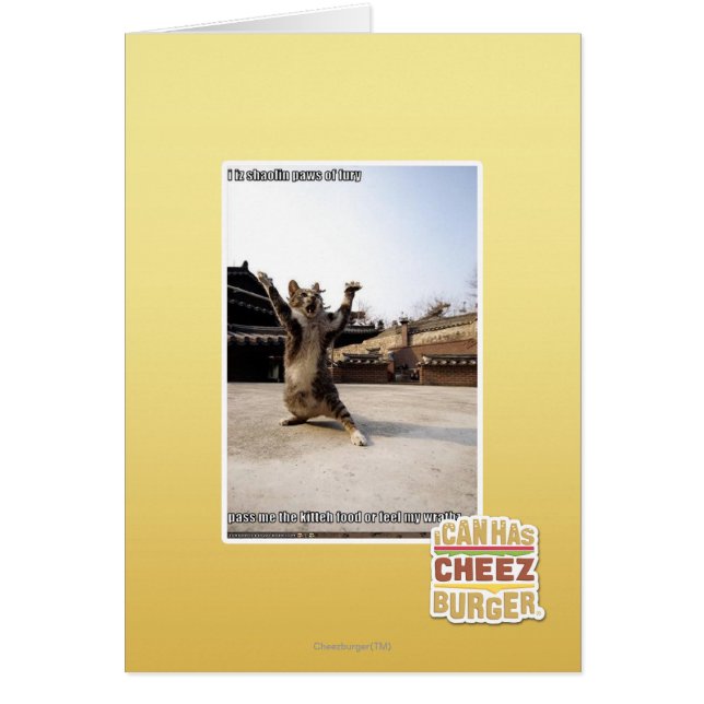 I iz shaolin paws of fury (Front)