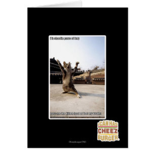 I iz shaolin paws of fury