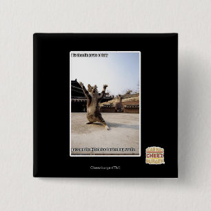 I iz shaolin paws of fury 15 cm square badge